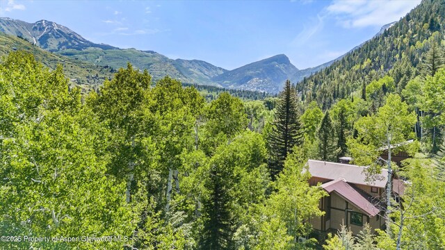 117 Deer Ln, Marble, CO 81623 - mountain view featuring a forest