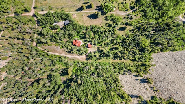 117 Deer Ln, Marble, CO 81623 - view of property location