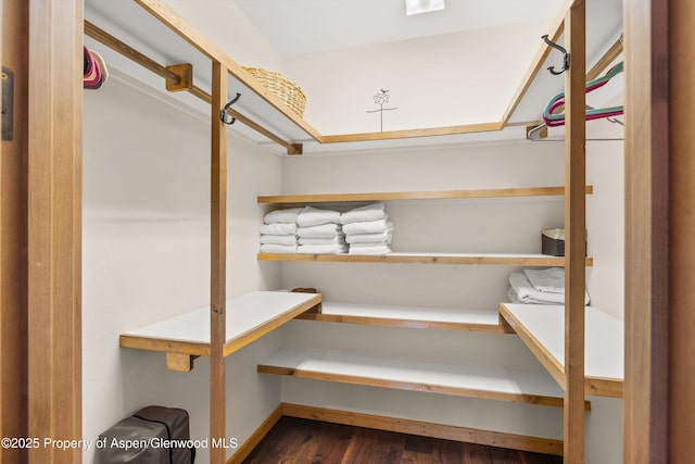 117 Deer Ln, Marble, CO 81623 - view of storage area
