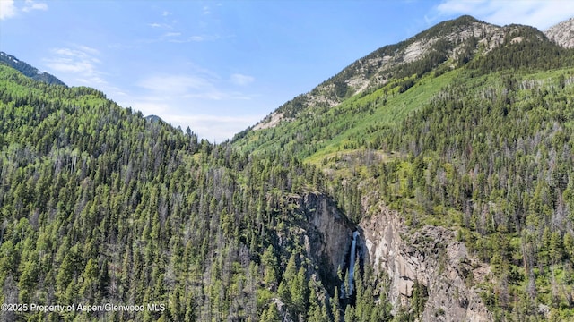 117 Deer Ln, Marble, CO 81623 - mountain view featuring a forest