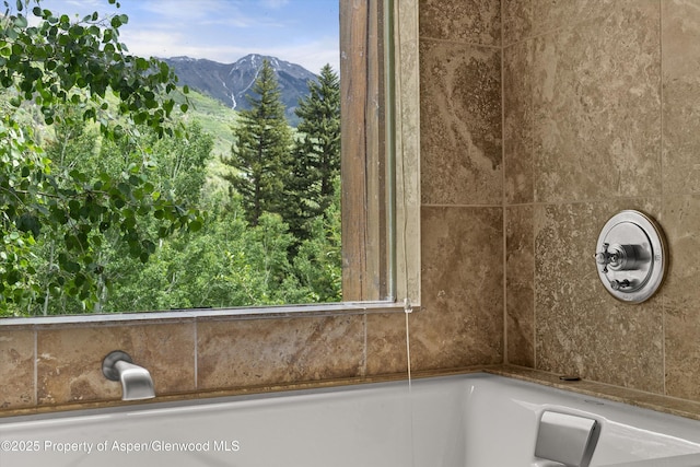 117 Deer Ln, Marble, CO 81623 - bathroom view of mountains and a tub