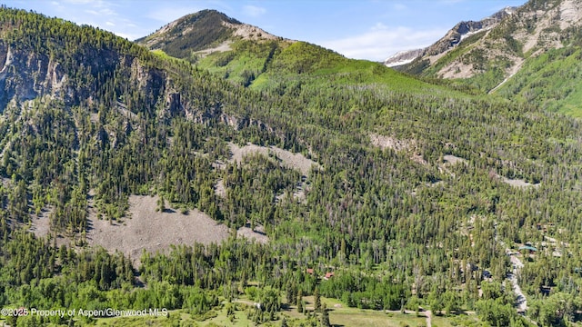 117 Deer Ln, Marble, CO 81623 - mountain view featuring a heavily wooded area