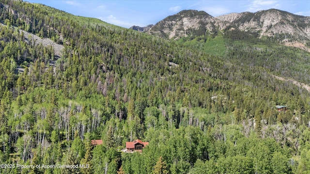117 Deer Ln, Marble, CO 81623 - mountain view featuring a forest