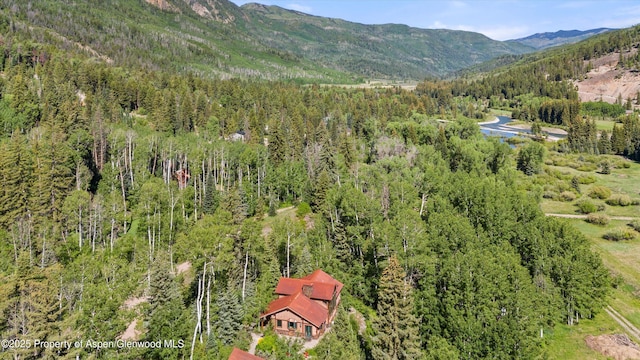 117 Deer Ln, Marble, CO 81623 - mountain view featuring a forest