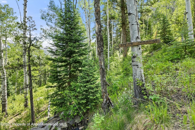 117 Deer Ln, Marble, CO 81623 - view of tree filled area