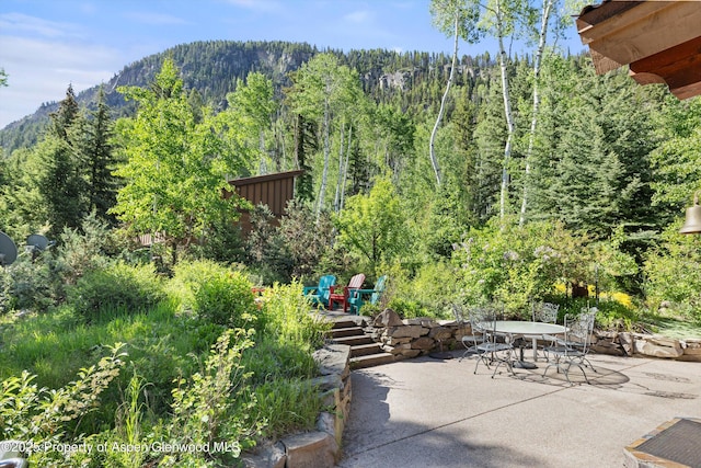 117 Deer Ln, Marble, CO 81623 - view of patio featuring a view of trees, a mountain view, and outdoor dining area