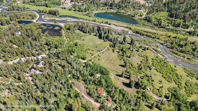 117 Deer Ln, Marble, CO 81623 - view of property location featuring a nearby body of water
