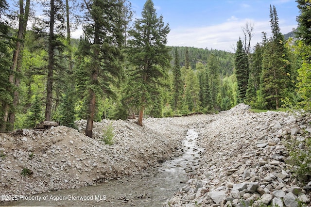117 Deer Ln, Marble, CO 81623 - view of tree filled area