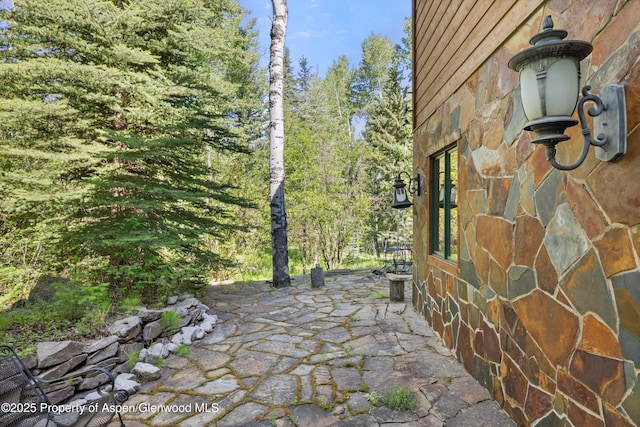 117 Deer Ln, Marble, CO 81623 - view of patio