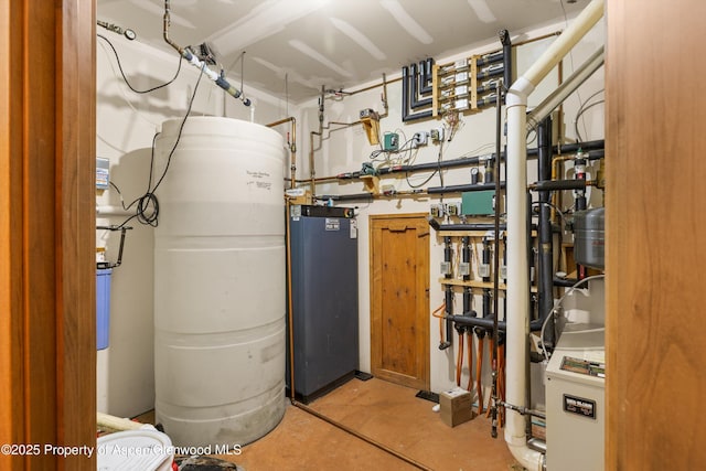 117 Deer Ln, Marble, CO 81623 - view of utility room