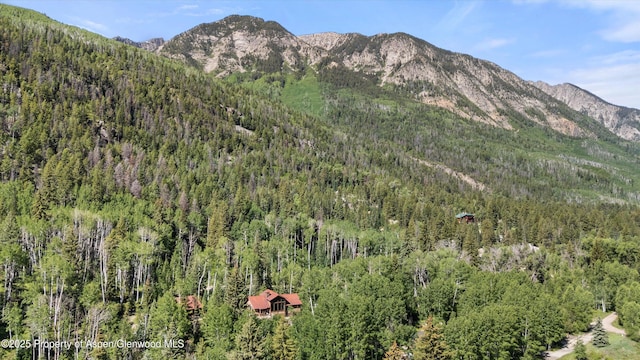 117 Deer Ln, Marble, CO 81623 - view of mountain backdrop featuring a forest