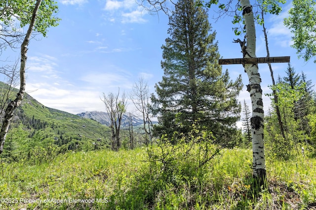 117 Deer Ln, Marble, CO 81623 - mountain view