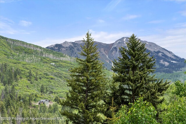 117 Deer Ln, Marble, CO 81623 - view of mountain background featuring a heavily wooded area