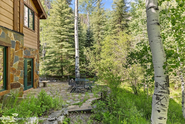117 Deer Ln, Marble, CO 81623 - view of yard with a patio area and a forest view