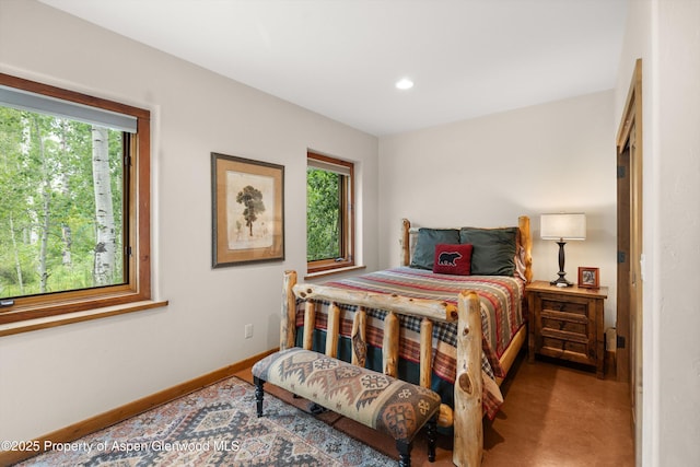 117 Deer Ln, Marble, CO 81623 - bedroom with baseboards and recessed lighting