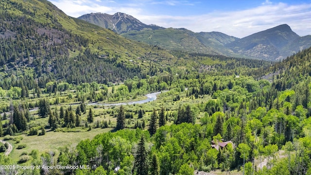 117 Deer Ln, Marble, CO 81623 - mountain view with a heavily wooded area