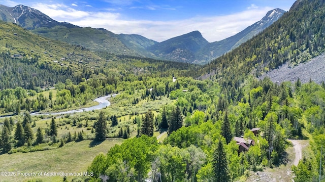 117 Deer Ln, Marble, CO 81623 - mountain view featuring a forest