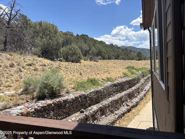 14 Pine Ridge Rd, Basalt, CO 81621 - view of yard featuring a mountain view