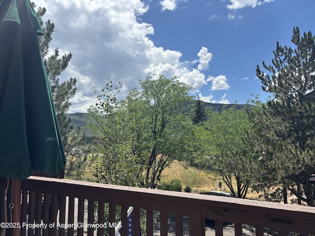 14 Pine Ridge Rd, Basalt, CO 81621 - view of mountain backdrop