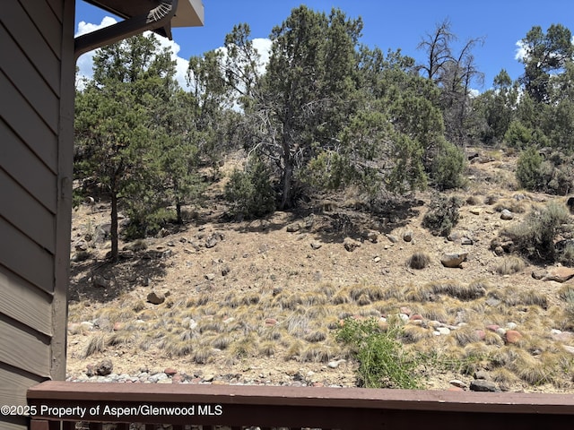 14 Pine Ridge Rd, Basalt, CO 81621 - view of yard