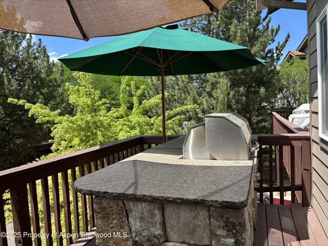 14 Pine Ridge Rd, Basalt, CO 81621 - wooden deck with exterior kitchen