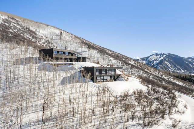 542 Carroll Dr, Aspen, CO 81611 - exterior space