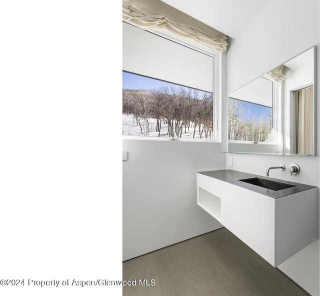 542 Carroll Dr, Aspen, CO 81611 - bathroom featuring a sink