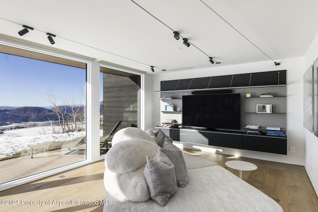 542 Carroll Dr, Aspen, CO 81611 - living room with a mountain view, wood finished floors, and rail lighting