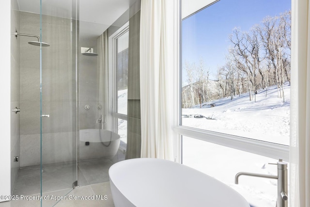 542 Carroll Dr, Aspen, CO 81611 - bathroom with a stall shower, a soaking tub, and tile patterned floors