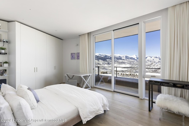 542 Carroll Dr, Aspen, CO 81611 - bedroom with access to exterior, light wood-type flooring, and a mountain view