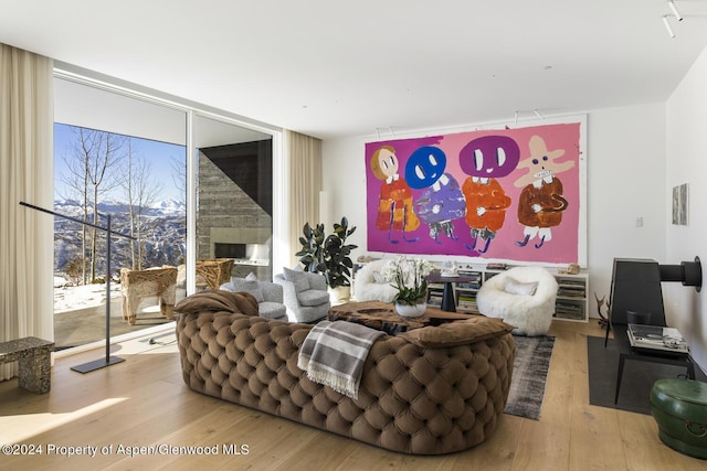 542 Carroll Dr, Aspen, CO 81611 - living area with floor to ceiling windows, wood finished floors, a mountain view, and a fireplace