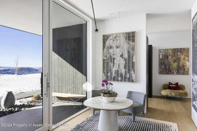 542 Carroll Dr, Aspen, CO 81611 - sunroom featuring a mountain view