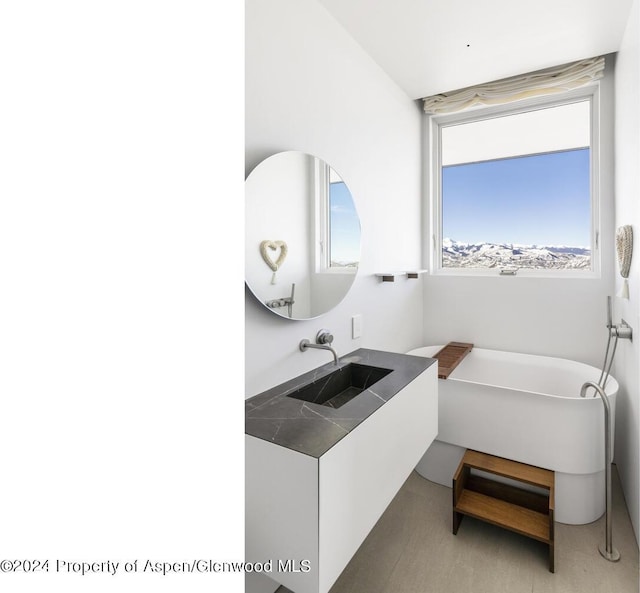 542 Carroll Dr, Aspen, CO 81611 - bathroom with a sink and a freestanding bath