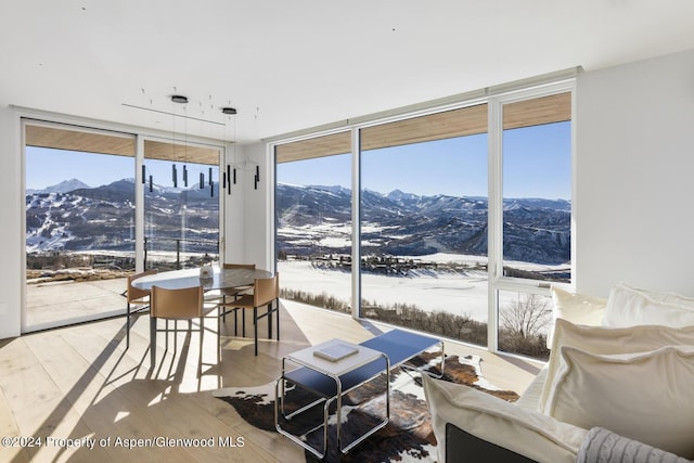542 Carroll Dr, Aspen, CO 81611 - living area featuring expansive windows, a mountain view, and wood finished floors