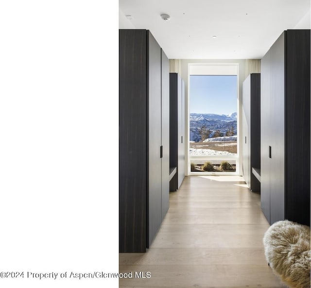 542 Carroll Dr, Aspen, CO 81611 - hall featuring a mountain view and light wood-style flooring