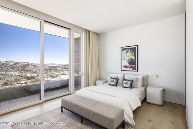 542 Carroll Dr, Aspen, CO 81611 - bedroom with light wood finished floors, a mountain view, and access to exterior