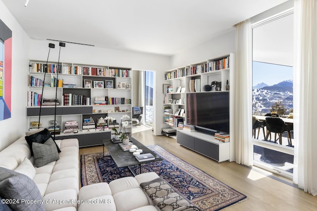 542 Carroll Dr, Aspen, CO 81611 - living area featuring light wood-type flooring and healthy amount of natural light