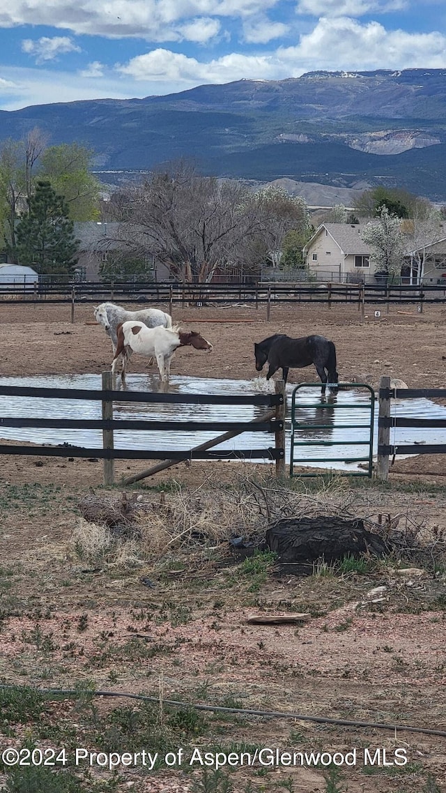 view of yard featuring a mountain view and a rural view