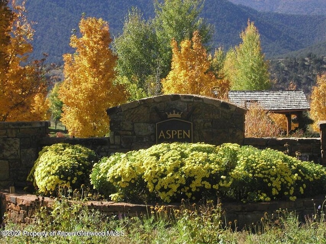 589 Saddleback Rd, Carbondale, CO 81623 - community sign featuring a mountain view