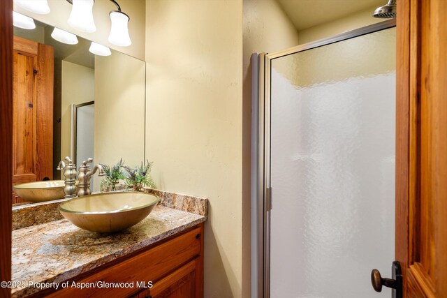 bathroom with a shower stall and vanity