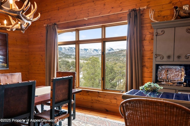 interior space with a mountain view, light hardwood / wood-style floors, and wood walls