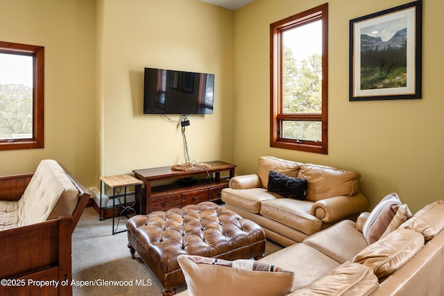 living room featuring light carpet