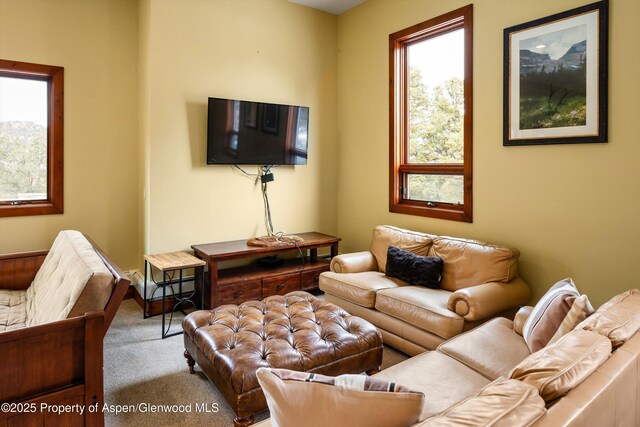 living room featuring carpet