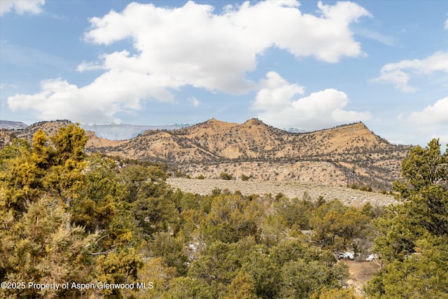 857 Indian Rock Rd, Silt, CO 81652 - view of mountain background