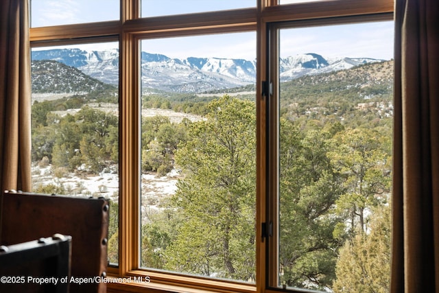 doorway with plenty of natural light and a mountain view