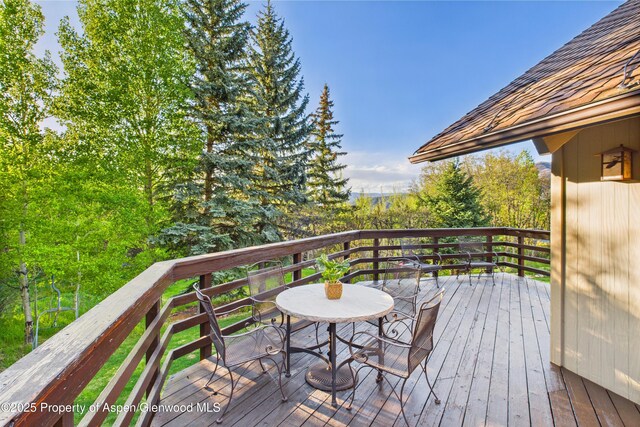 593 Meadowood Dr, Aspen, CO 81611 - photo 15