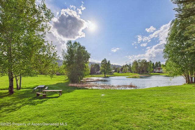 593 Meadowood Dr, Aspen, CO 81611 - photo 32
