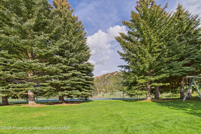 593 Meadowood Dr, Aspen, CO 81611 - photo 35