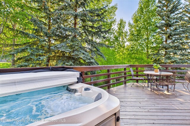 593 Meadowood Dr, Aspen, CO 81611 - photo 11