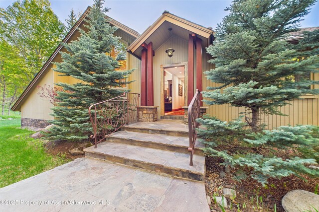 593 Meadowood Dr, Aspen, CO 81611 - photo 20